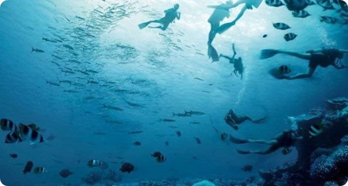 ��������... ���� ����� �� ����� �� ���������. ��������... ���� ���-�� �� ����������. ��������... ...