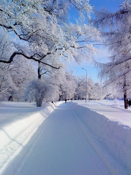   |  |  - 21  2015  13:40 - 3