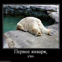 ���� �����, ���� - ��������� 31 ������� 2014 � ������ �� ������ ����