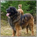 ���� ������, ��������, 57 ��� - ��������� 2 ����� 2015