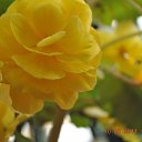 ���� Aru, �������� - ��������� 11 ������ 2015 � ������ �Ooty, Tamilnadu, India�