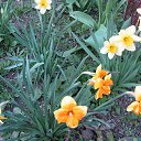 ���� ��������, ��������������, 50 ��� - ��������� 13 ������ 2015 � ������ ������ ��������