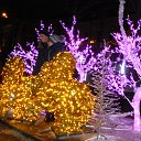 ���� ������, ������������, 72 ���� - ��������� 27 ������ 2015 � ������ ������� ���������߻