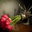 ���� ������, ���������, 58 ��� - ��������� 7 ������� 2015 � ������ ������ ��������