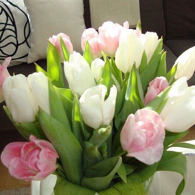   |  |  - 18  2015  23:03 - 4