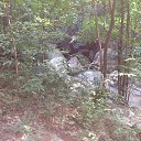 ��� ������������ �� ����� �������� ���������, ������ �� ����� � ������ ��� �������? 
����� �����: http://dengidomoy.ru/cent/ �� ������� ����