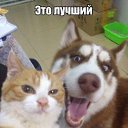 ���� ���������, ������, 30 ��� - ��������� 11 ������ 2015 � ������ ���� ����������