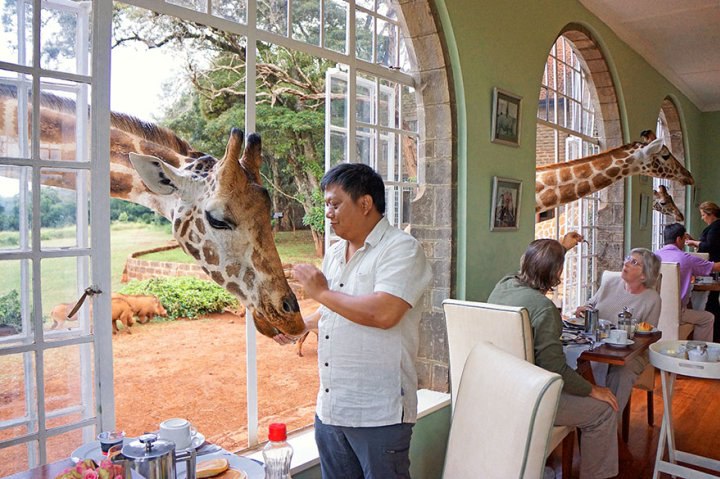   - Giraffe Manor () - ...