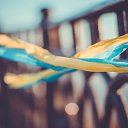 ���� ���������, ��������, 34 ���� - ��������� 8 ������ 2015 � ������ ����� 2�