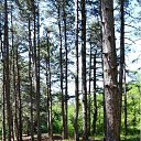 �������� ���, �������� �� ������� ��� �����������