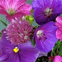 ���� ����, ���������� - ��������� 29 ������ 2015 � ������ ������ ��������