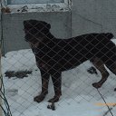 ���� �������, �����������, 57 ��� - ��������� 25 ������� 2014 � ������ �������