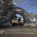 ���� ���� ����������, ���������, 61 ��� - ��������� 10 ������ 2015 � ������ ���������� ���������