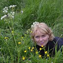 ���� �������, �����������, 54 ���� - ��������� 20 ����� 2015