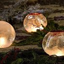 ���� Lyubov, �������� - ��������� 2 ������ 2015 � ������ ������ ��������