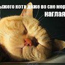 ���� ������, ��������������� - ��������� 13 ������ 2015 � ������ ������