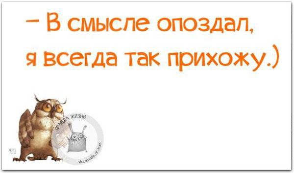 ������ ����� - 19 ������ 2015 � 03:31