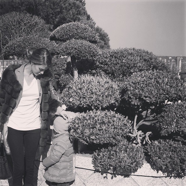 �������� ���� - 19 ����� 2015 � 16:00