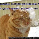 ���� Kolya, ����, 52 ���� - ��������� 8 ������ 2015 � ������ ���� ����������