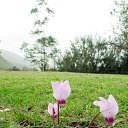 ���� �������, ����� - ��������� 9 ����� 2015 � ������ ��� ��������