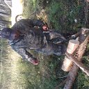 ���� ������, �������, 45 ��� - ��������� 28 ����� 2015