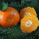 ���� ����., ������, 60 ��� - ��������� 30 ������� 2014 � ������ ������ ��������