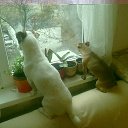 ���� ������, ������, 55 ��� - ��������� 20 ������ 2015