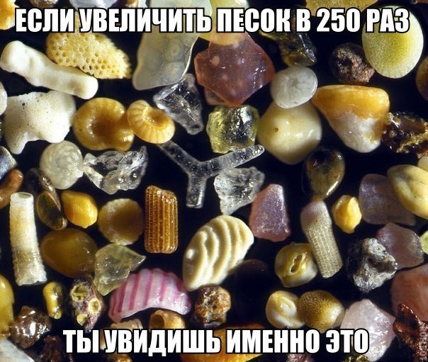 ��������� � ������,��� ���� ��������: <a href=
