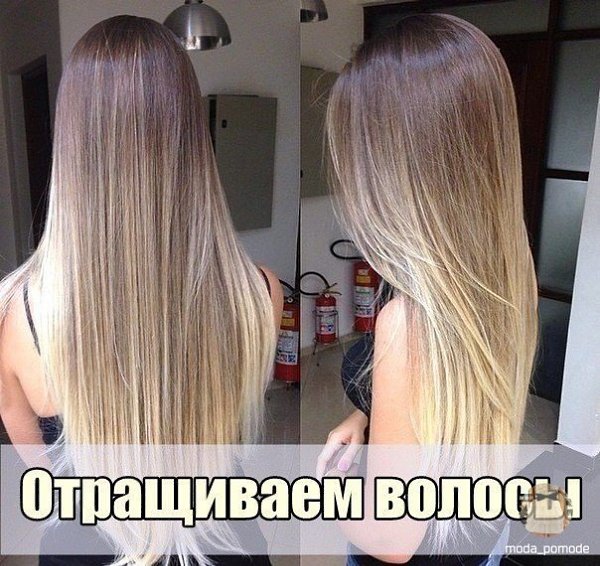  ,     ,     ;).1   ...