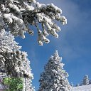 ���� ����, ������� - ��������� 27 ������� 2014 � ������ ������ ��������