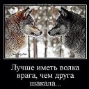 ���� �������, �������, 53 ���� - ��������� 11 ������ 2015 � ������ ������ ��������