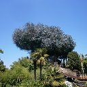 ���� �������, ���������� �����, 43 ���� - ��������� 29 ����� 2015 � ������ ���� ����������