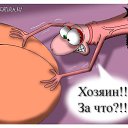 ���� ������, ������� - ��������� 4 ������ 2015