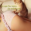 ���� ������, ������ - ��������� 19 ������ 2015 � ������ ������ ��������