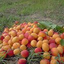 ���� ����, ������ - ��������� 19 ������ 2015 � ������ ����������