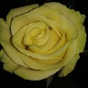 ���� �����, �������, 64 ���� - ��������� 9 ����� 2015 � ������ ���� ����������