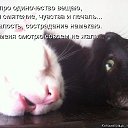 ���� �����, ������������, 59 ��� - ��������� 7 ������ 2015 � ������ ���� ����������