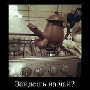 ���� ��������, �������������-���������� - ��������� 14 ������� 2014 � ������ ���� ����������