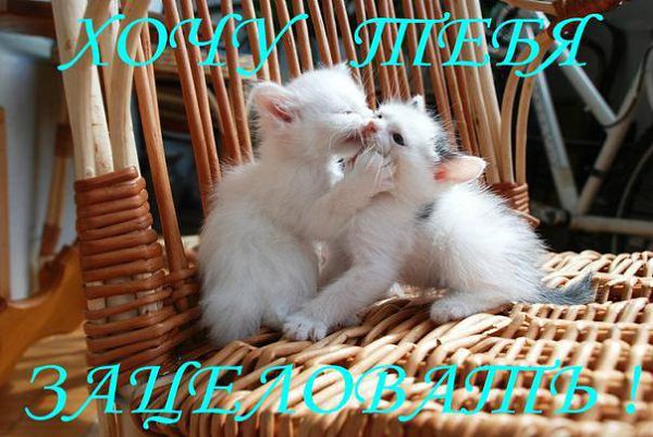 Tatyana Oleksina - 17 ������ 2015 � 13:05