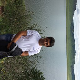 **����**, ������