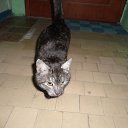 ���� �����, �������, 43 ���� - ��������� 3 ������ 2015 � ������ ���� ����������