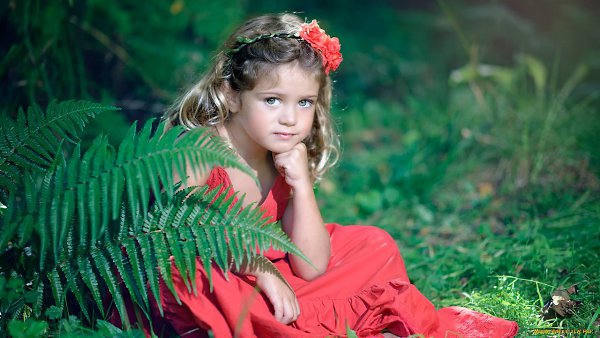 ★   ★ - 12  2015  21:56