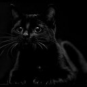 ���� ������, �����, 44 ���� - ��������� 13 ������� 2014 � ������ ���� ����������