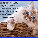 ���� *����***, ����������� - ��������� 23 ������� 2014 � ������ ������ ��������