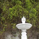 ���� ������, ������, 42 ���� - ��������� 6 ������� 2015 � ������ ���� ����������