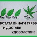 ���� Borislav, ���� - ��������� 24 ������� 2015 � ������ ������ ��������