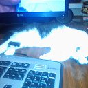 ���� �2 �� ������� ���� ����������