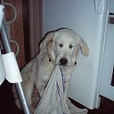 ���� �������� ���������, ���������, 54 ���� - ��������� 4 ������ 2015 � ������ �г���