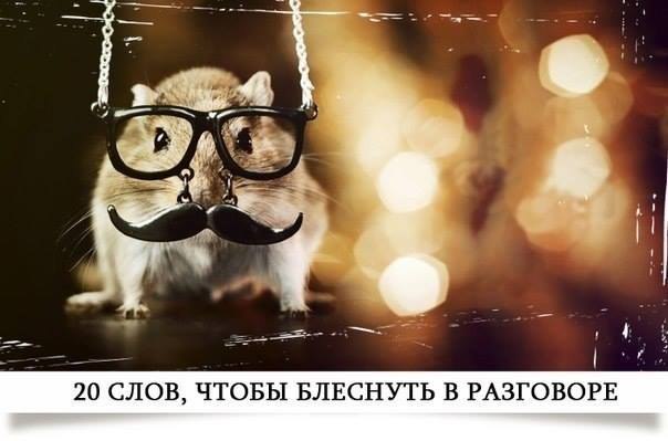 ������� �������� ������ ��������? ������� ��� 20 ����! 1. ��������� � �����������. 2. ������� � ...