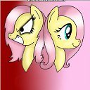  , -, 23  -  1  2015   fluttershy